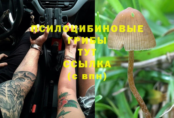 трава Арсеньев