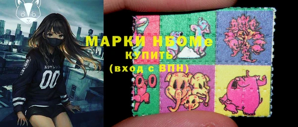 ECSTASY Алзамай