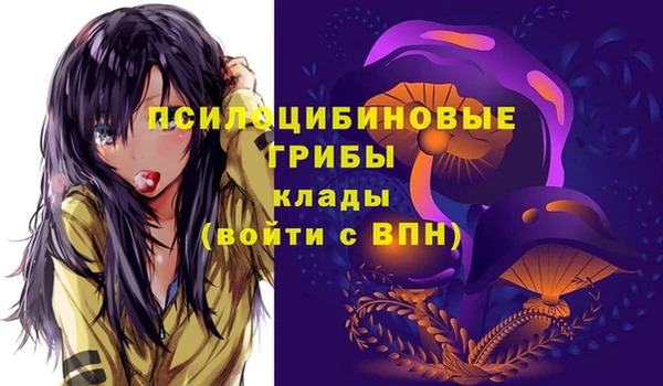 трава Арсеньев
