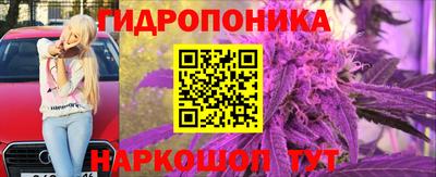 apvp Краснодар