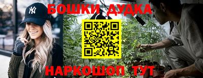 apvp Краснодар
