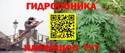 a pvp Краснознаменск