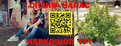 apvp Краснодар