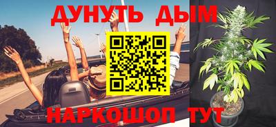 сатива Краснокаменск