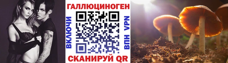 blacksprut ССЫЛКА  как найти закладки  Ярцево  Псилоцибиновые грибы MAGIC MUSHROOMS 
