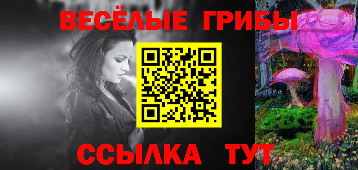 Псилоцибиновые грибы прущие грибы  Вход с VPN  Псилоцибиновые грибы MAGIC MUSHROOMS  где можно купить наркотик  Ярцево 